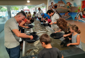 INICIACIÓ A LA RECERCA D'OR